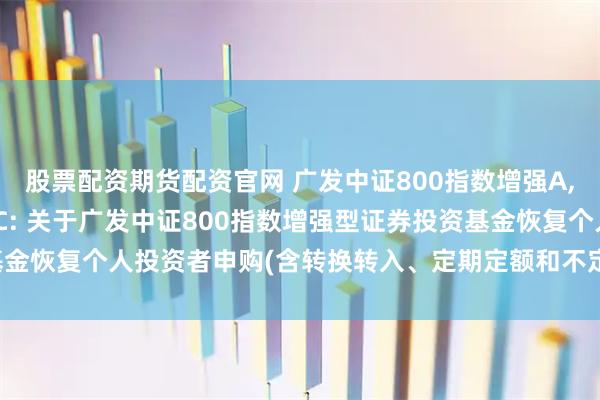 股票配资期货配资官网 广发中证800指数增强A,广发中证800指数增强C: 关于广发中证800指数增强型证券投资基金恢复个人投资者申购(含转换转入、定期定额和不定额投资)业务的公告