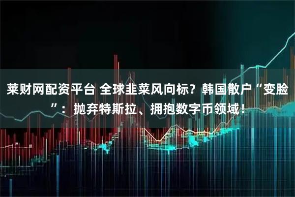 莱财网配资平台 全球韭菜风向标?韩国散户“变脸”:抛弃特斯拉、拥抱数字币领域!